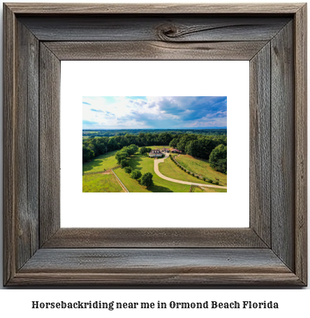 horseback riding near me in Ormond Beach, Florida